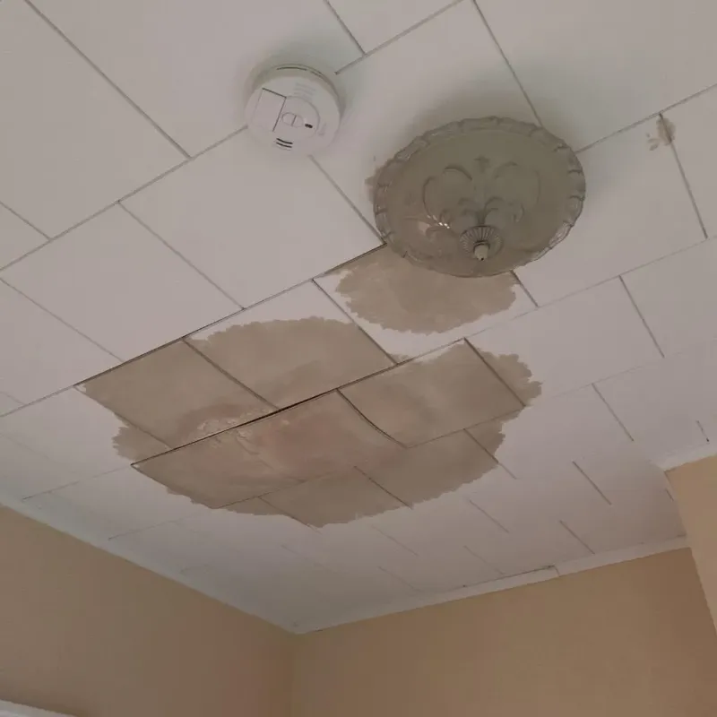 Ceiling Water Damage Repair in Vincennes, IN