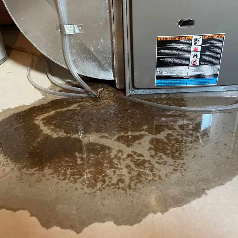 Pipe Burst and Leak Restoration in Vincennes, IN