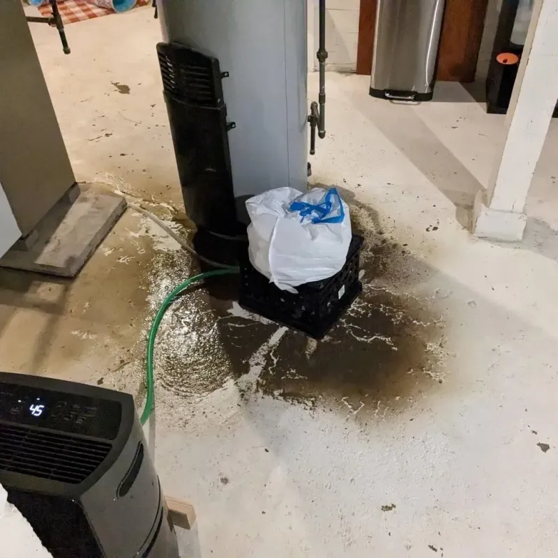 Sewage Backup Cleanup Service in Vincennes, IN